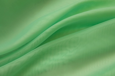 Портьерный капрон 15-6123, 47 гр/м2, шир.300см, цвет св.зелёный - купить в Камышине. Цена 137.27 руб.