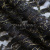 Кружевное полотно XD LACE 1-4, 80 гр/м2, шир.150см, цвет чёрный - купить в Камышине. Цена 245.94 руб.