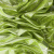 Трикотажное полотно голограмма, шир.140 см, #602 -люм.салат - купить в Камышине. Цена 385.88 руб.