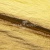 Текстильный материал "Диско"#1805 с покрытием РЕТ, 40гр/м2, 100% полиэстер, цв.5-золото - купить в Камышине. Цена 412.36 руб.