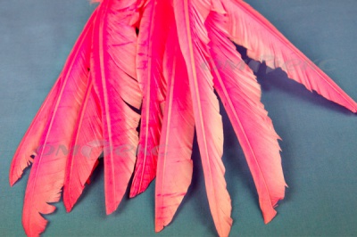 Декоративный Пучок из перьев, перо 25см/розовый - купить в Камышине. Цена: 14.40 руб.