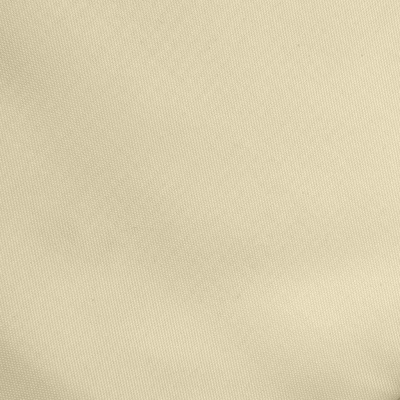 Ткань подкладочная Таффета 14-1014, антист., 53 гр/м2, шир.150см, цвет бежевый - купить в Камышине. Цена 62.37 руб.