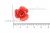 Украшение "Розы малые №1" 20мм - купить в Камышине. Цена: 32.49 руб.