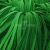 Шнур 15мм плоский (100+/-1м) №16 зеленый - купить в Камышине. Цена: 10.21 руб.