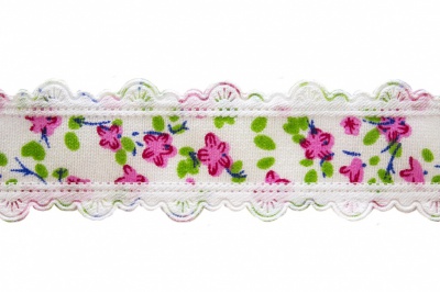 Тесьма декоративная 0385-6170, шир. 25 мм/уп. 22,8+/-1 м, цвет 02-розовый - купить в Камышине. Цена: 364.70 руб.