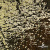 Трикотажное полотно, Сетка с пайетками, шир.130 см, #315, цв.-чёрный/золото - купить в Камышине. Цена 693.39 руб.