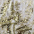 Трикотажное полотно, Сетка с пайетками, шир.130 см, #315, цв.-белый/золото - купить в Камышине. Цена 693.39 руб.