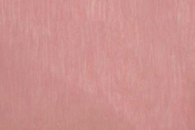 Органза однотонная "Амелия" С19 (Розовый) 280 см - купить в Камышине. Цена 303.09 руб.
