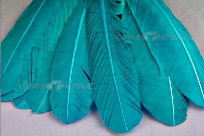 Декоративный Пучок из перьев, перо 24см/голубой - купить в Камышине. Цена: 12.19 руб.