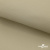 Ткань подкладочная TWILL 230T 14-1108, беж светлый 100% полиэстер,66 г/м2, шир.150 cм - купить в Камышине. Цена 90.59 руб.