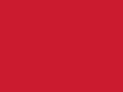 Сетка подкладочная красный, 60г/м2 (10 м/кг) - купить в Камышине. Цена 885.73 руб.