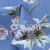 Плательная ткань "Фламенко" 12.1, 80 гр/м2, шир.150 см, принт растительный - купить в Камышине. Цена 241.49 руб.