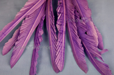 Декоративный Пучок из перьев, перо 25см/фиолетовый - купить в Камышине. Цена: 12.19 руб.