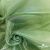 Ткань органза, 100% полиэстр, 28г/м2, шир. 150 см, цв. #27 зеленый - купить в Камышине. Цена 86.24 руб.