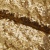 Сетка с пайетками №3, 188 гр/м2, шир.140см, цвет золотой - купить в Камышине. Цена 454.12 руб.