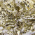 Трикотажное полотно, Сетка с пайетками, шир.130 см, #315, цв.-белый/золото - купить в Камышине. Цена 693.39 руб.